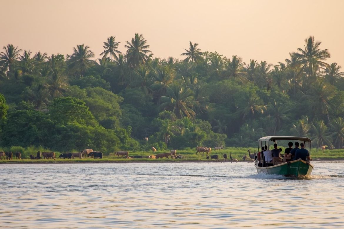 Boat Safari
